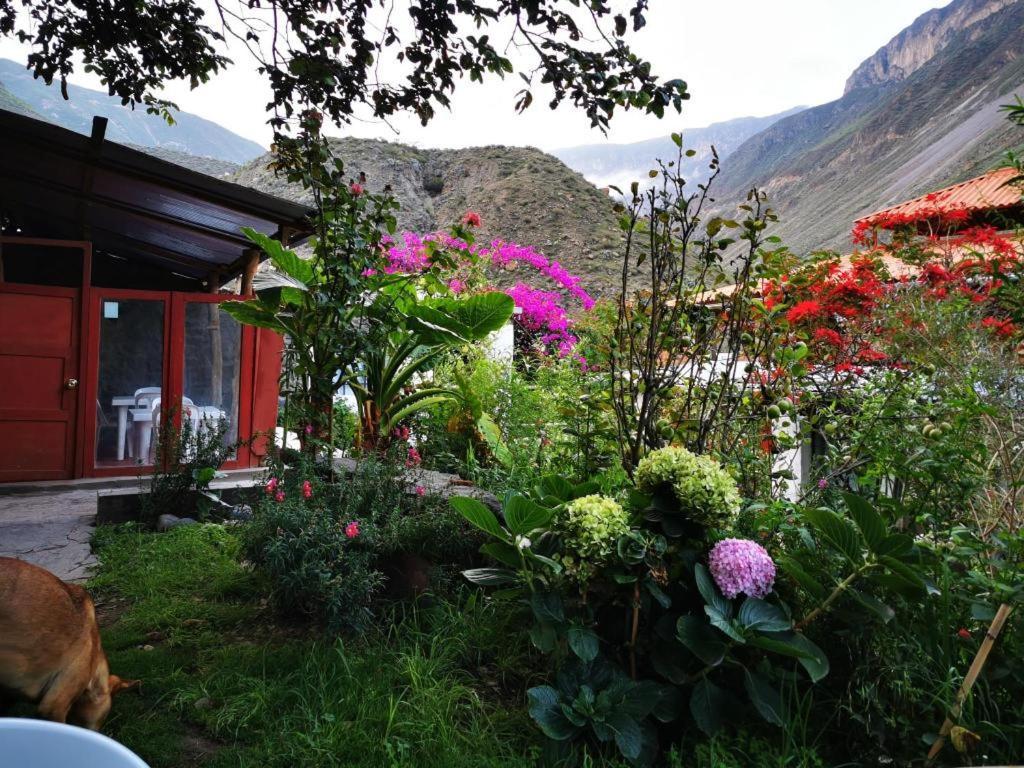 Casa De Virginia Villa Cabanaconde Exteriör bild